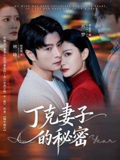 《丁克妻子的秘密》