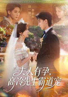 《夫人有孕，高冷先生霸道宠》