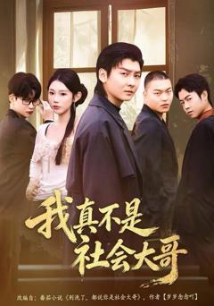 我真不是社会大哥