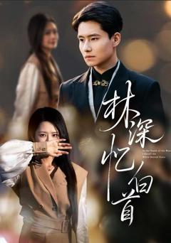 《林深忆白首》