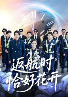 《返航时恰好花开》