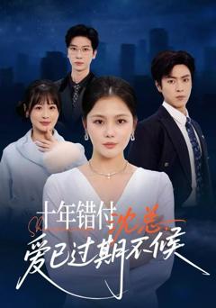 《十年错付：沈总，爱已过期不候》