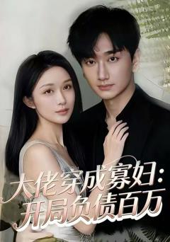 《大佬穿成寡妇：开局负债百万》