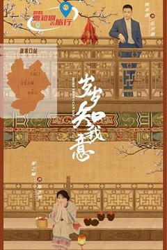 《岁岁知我意》