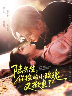 《陆先生，你捡的小玫瑰又掀桌了》