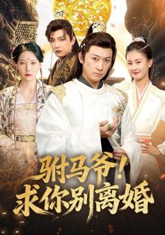 《驸马爷！求你别离婚》