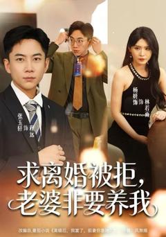 《求离婚被拒，老婆非要养我》