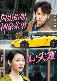 《闪婚姐姐，神豪弟弟心尖宠》