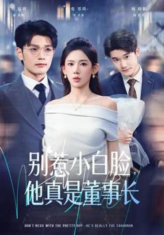 《别惹小白脸，他真是董事长》