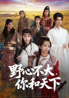 《野心不大，你和天下》