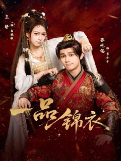 《一品锦衣》