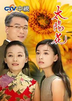 《太阳花1998》