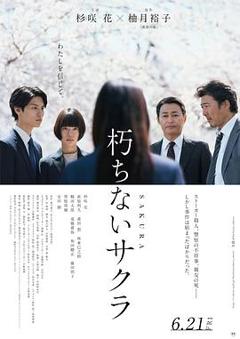 不朽的樱花[电影解说]