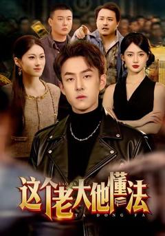 《这个老大他懂法》