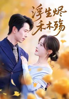 《浮生烬禾木殇》