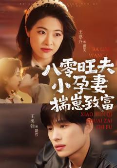 《八零旺夫小孕妻，揣崽致富》