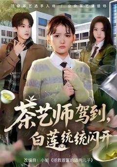 《茶艺师驾到白莲统统闪开》