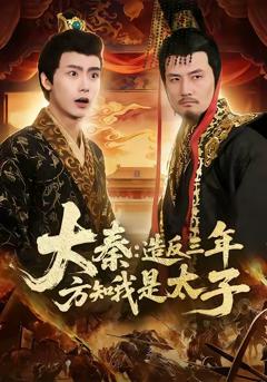 《大秦造反三年方知我是太子》