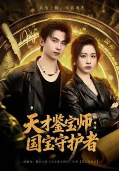 《天才鉴宝师：国宝守护者》