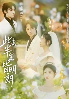 《此去半生皆明朗》