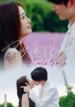 《黑玫瑰的反击》