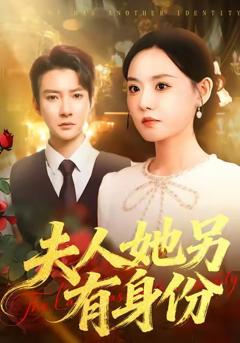 《夫人她另有身份》