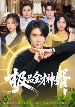 《极品全才神婿》