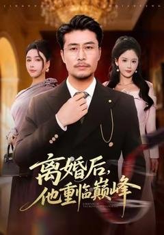 《离婚后，他重临巅峰》