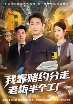 《我靠赌约分走老板半个工厂》