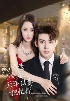 《破产大佬不要慌，天降仙妻把忙帮》