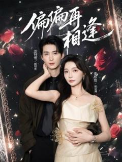 《偏偏再相逢》