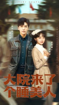 《大院来了个睡美人100集版》