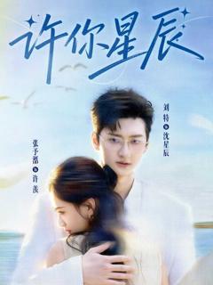 《许你星辰》