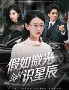 《假如微光识星辰》