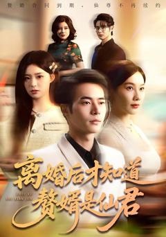 《离婚后才知道赘婿是仙君》
