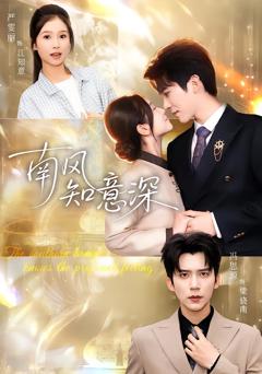 《南风知意深》