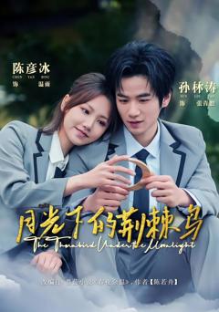 《月光下的荆棘鸟》