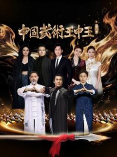 《中国武术王中王第二季》