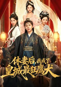休妻后，我成了皇城最狂鹰犬