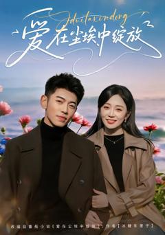 《爱在尘埃中绽放》