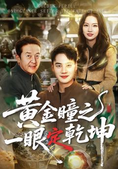 《黄金瞳之一眼定乾坤》