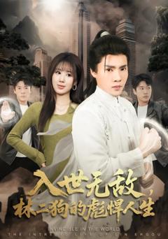 《入世无敌，林二狗的彪悍人生》