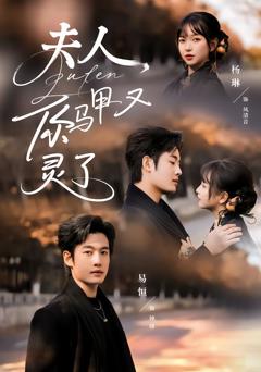 《夫人你马甲又灵了》