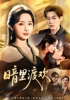 《暗里渡欢》