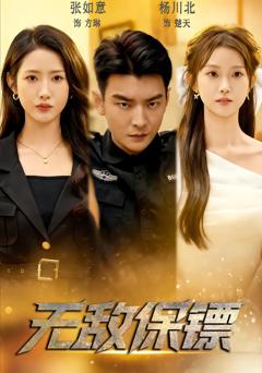 《无敌保镖》