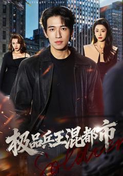 《极品兵王混都市》