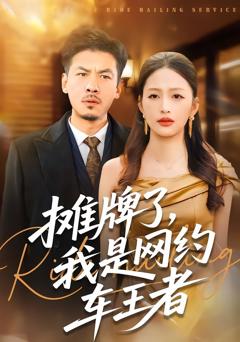 《摊牌了，我是网约车王者》