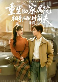 重生80家属院，相亲匹配到前夫