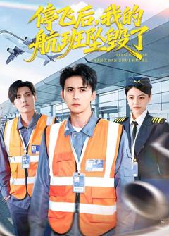 《停飞后，我的航班坠毁了》