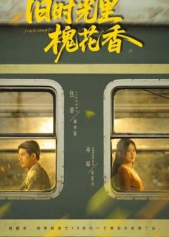 《旧时光里槐花香》